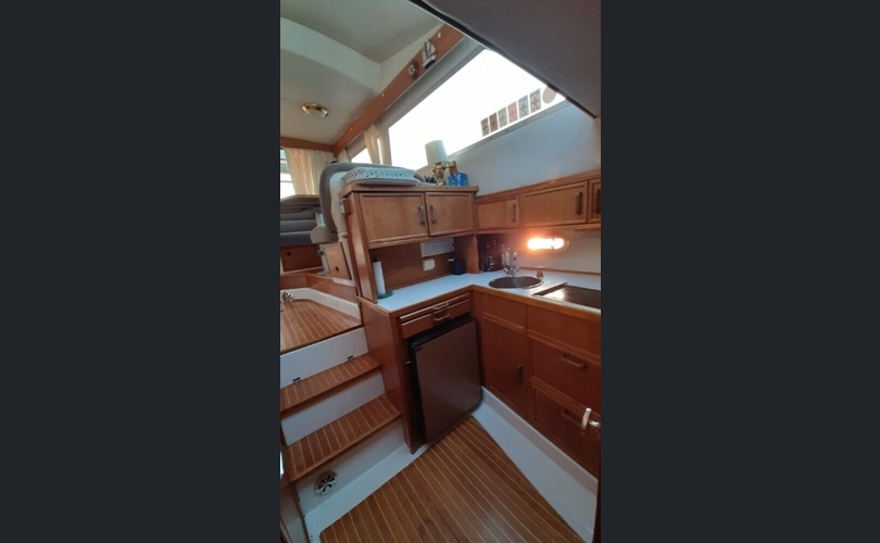 Tristan 345 Fly Harmony-kuva-4